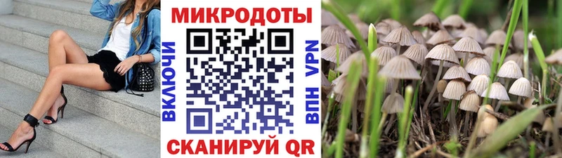 Псилоцибиновые грибы мицелий  mega ТОР  Белоусово 